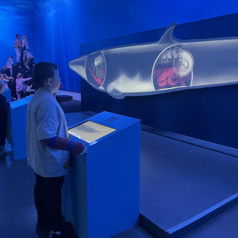 20241017_102714609_ios