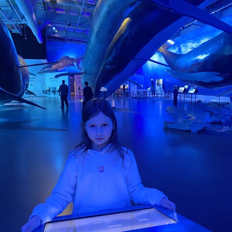 20241017_102852594_ios