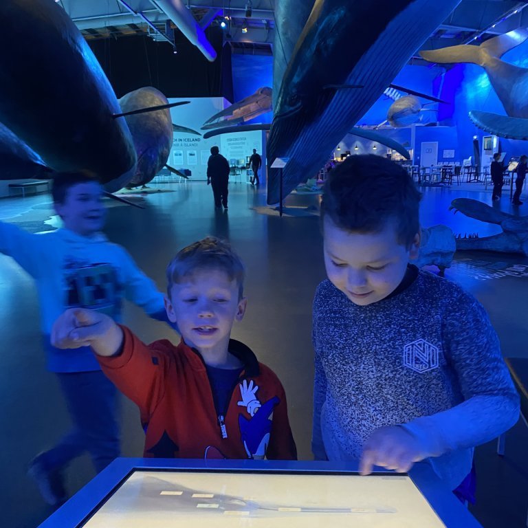 20241017_102900209_ios