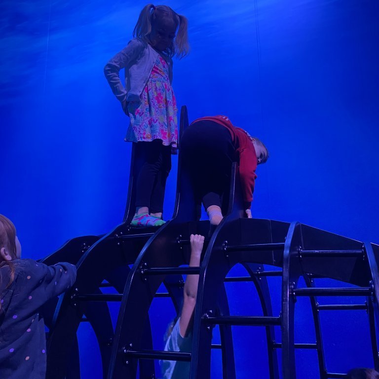 20241017_102910727_ios