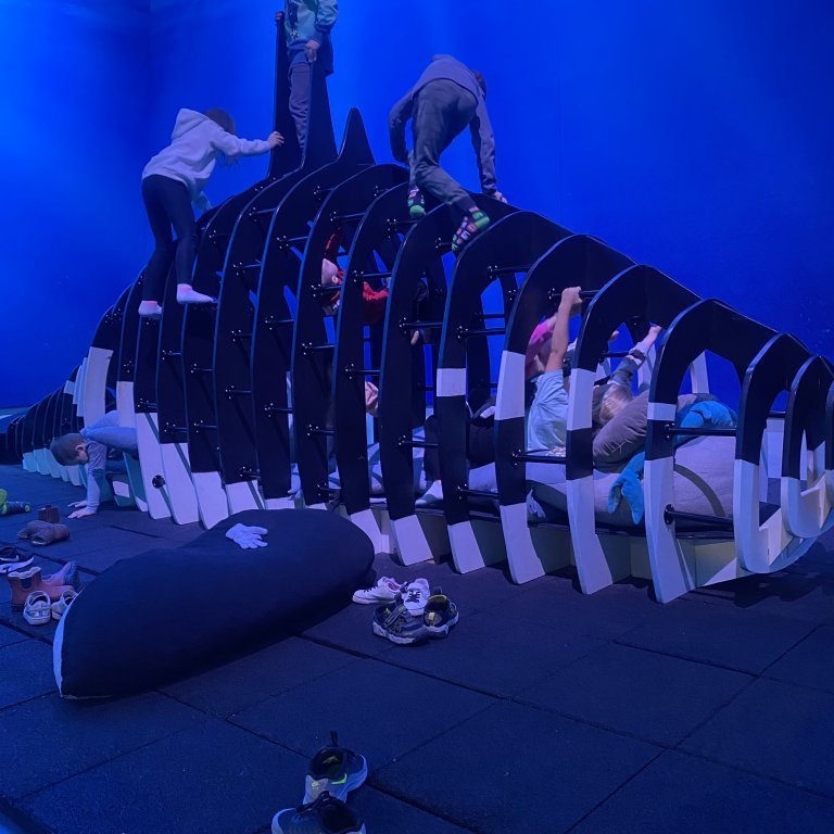 20241017_103013900_ios