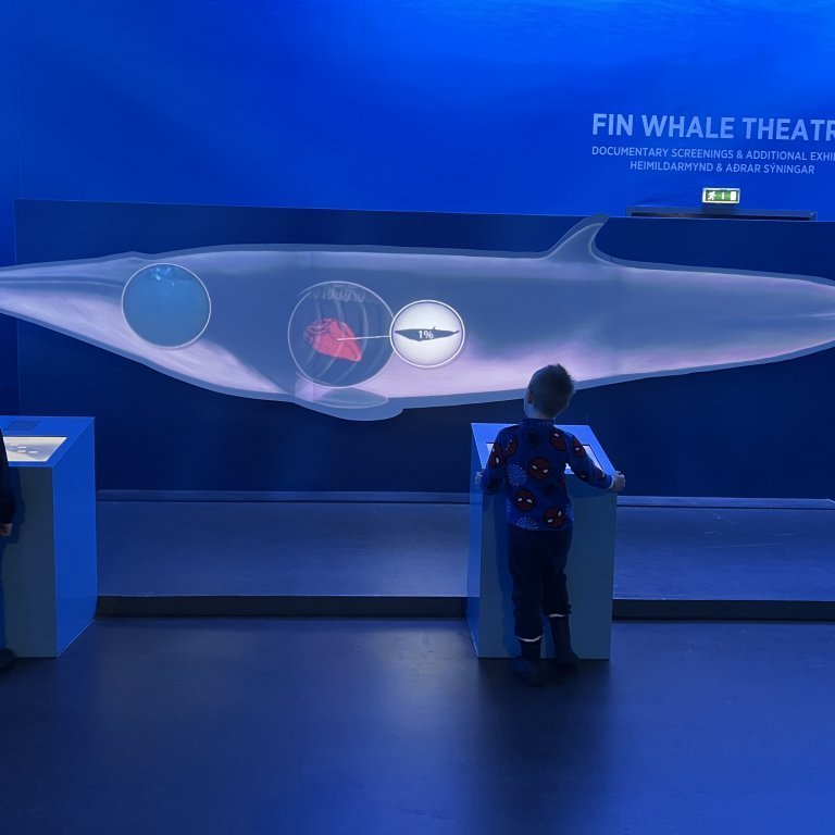 20241017_103821752_ios