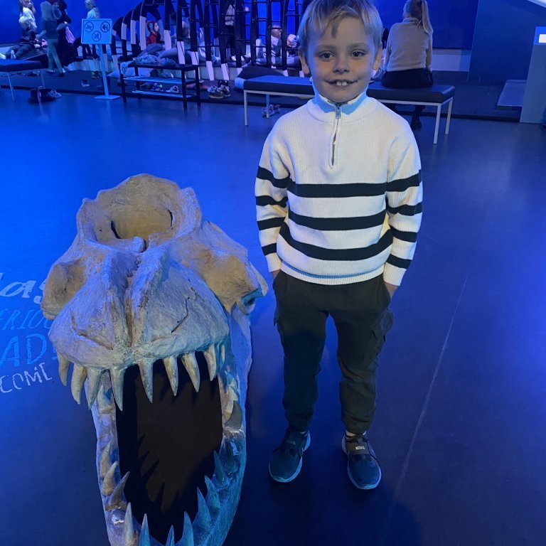 20241017_104101678_ios