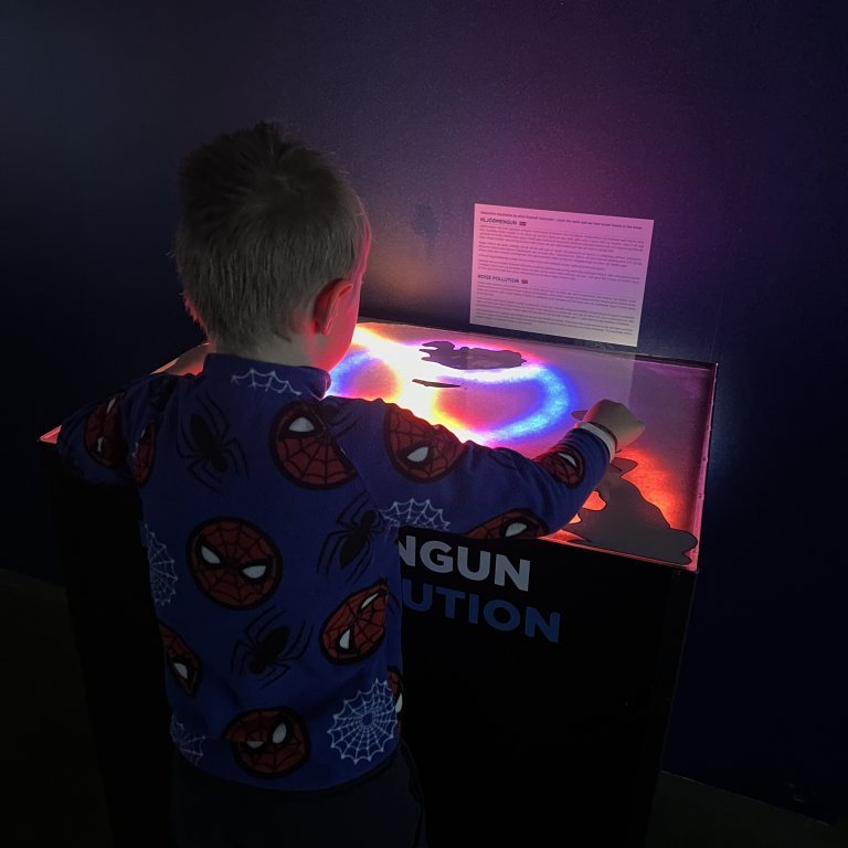 20241017_104946627_ios