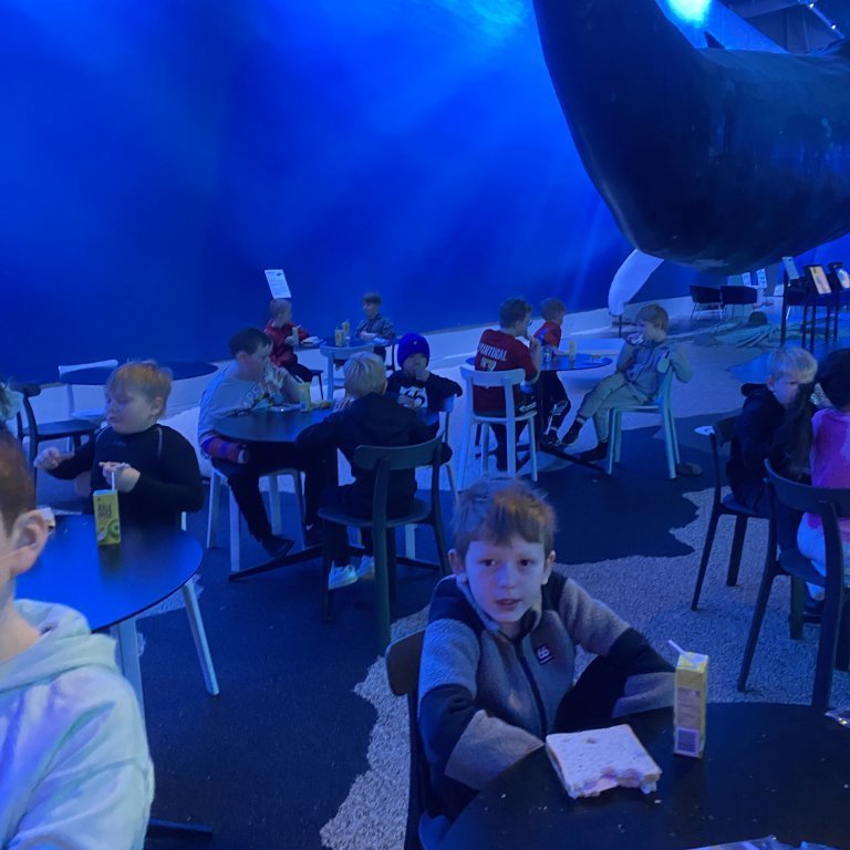 20241017_105924750_ios