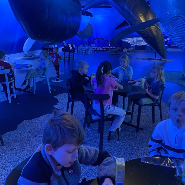 20241017_105929137_ios