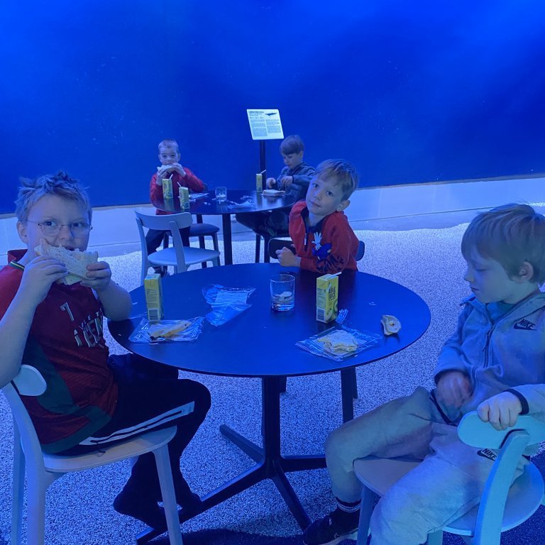 20241017_105938940_ios