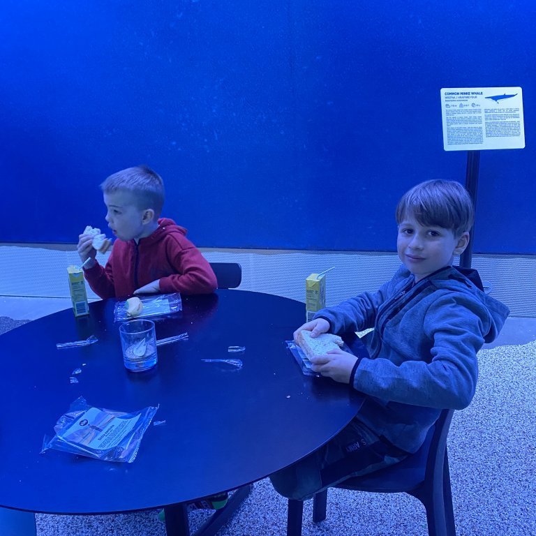 20241017_105946996_ios