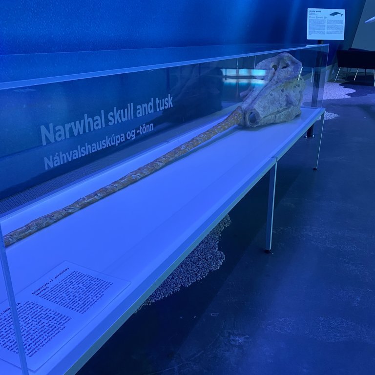 20241017_110714177_ios