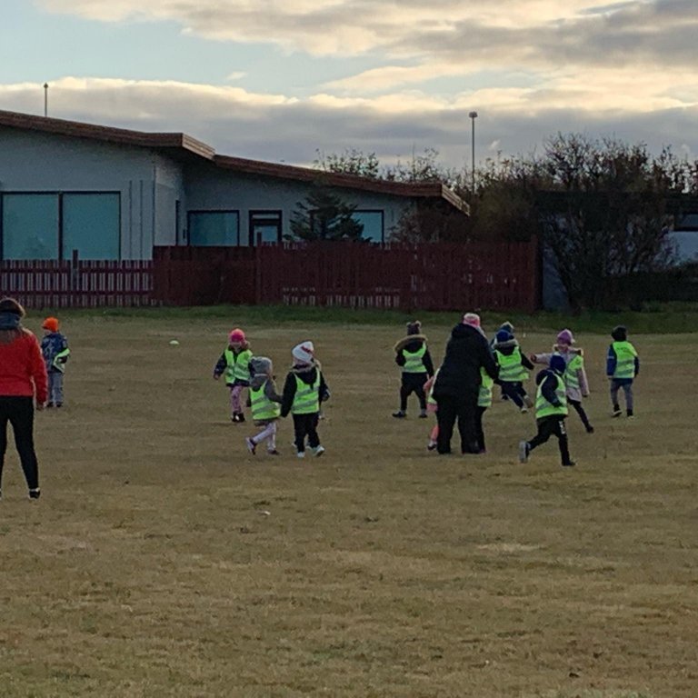 9fa1120aa7c5f8a177d41fccecb6bfee