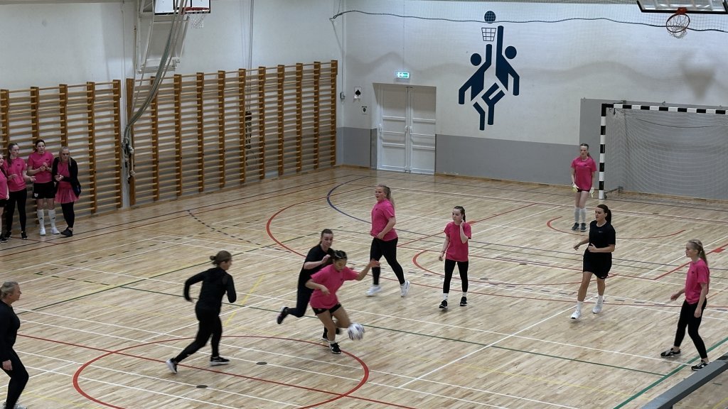 Íþróttadagur