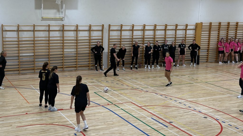 Íþróttadagur