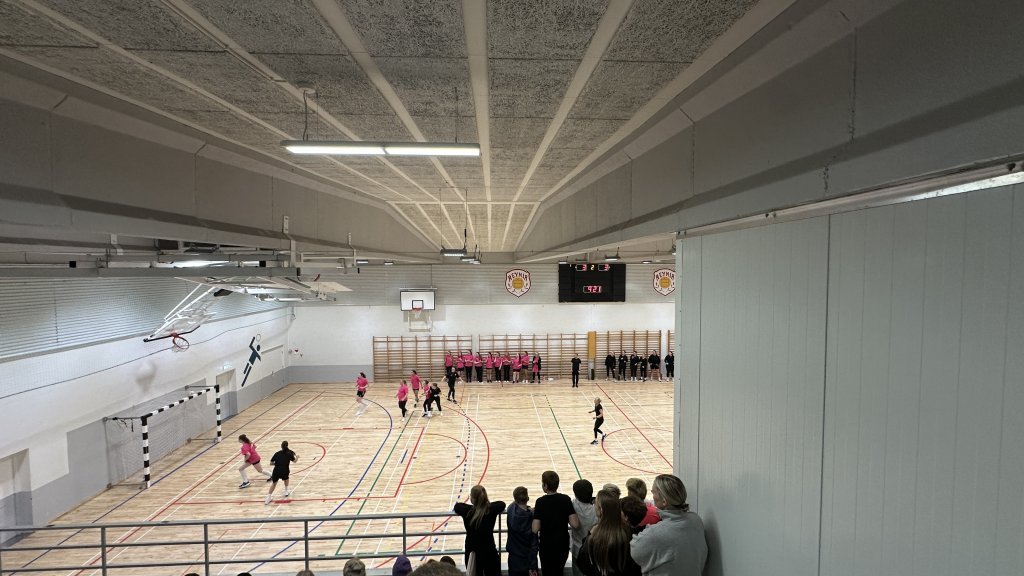 Íþróttadagur