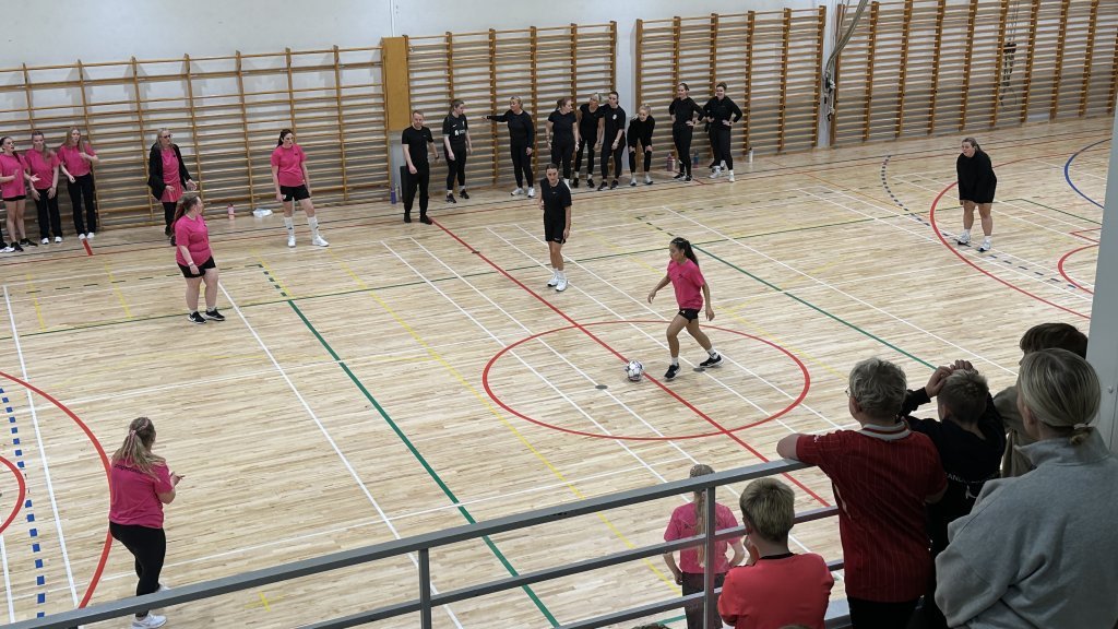 Íþróttadagur