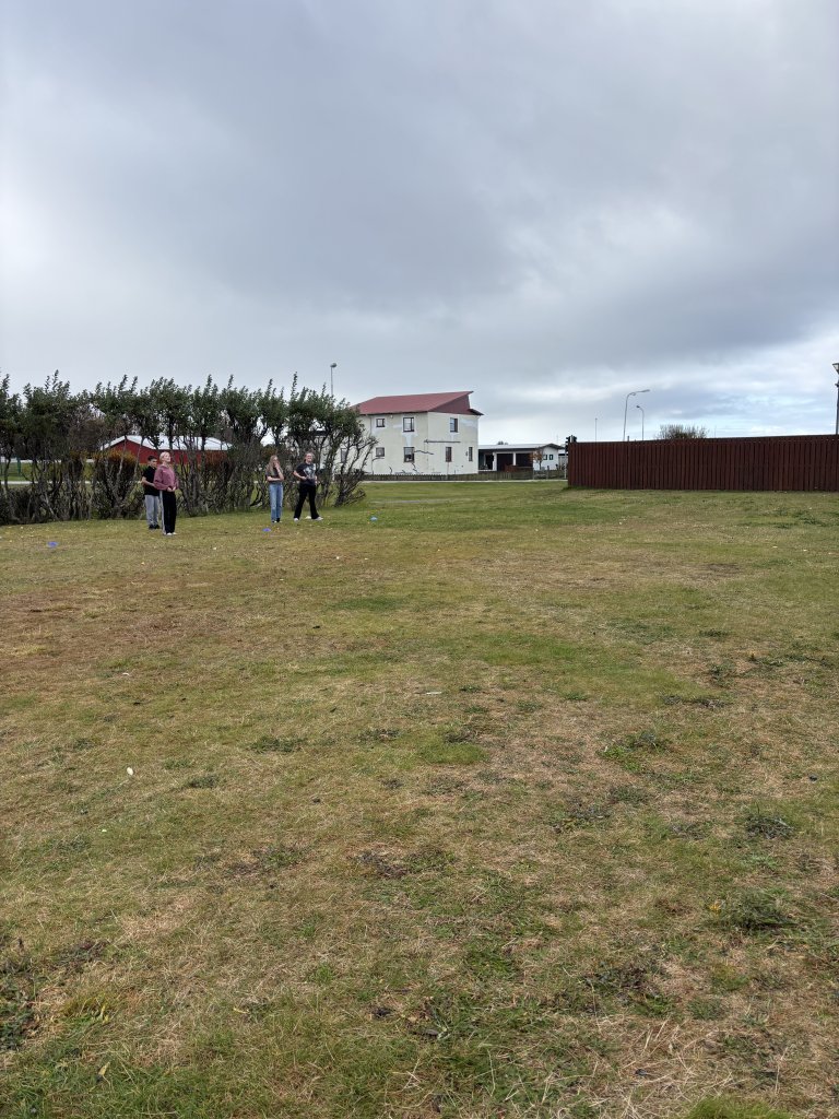 Íþróttadagur