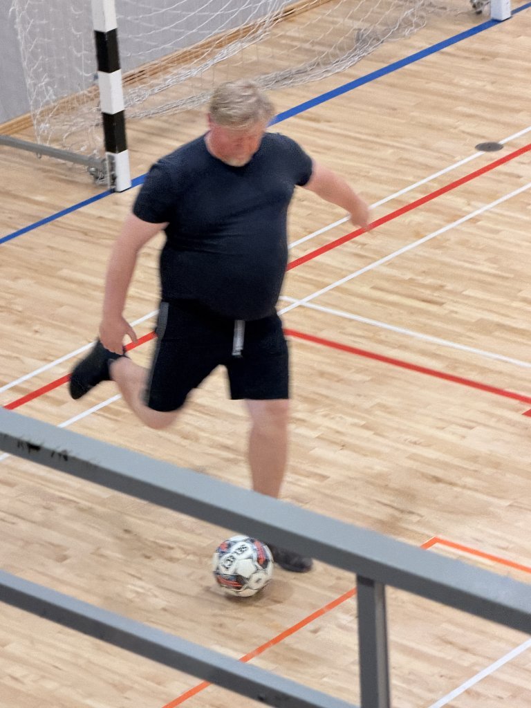 Íþróttadagur