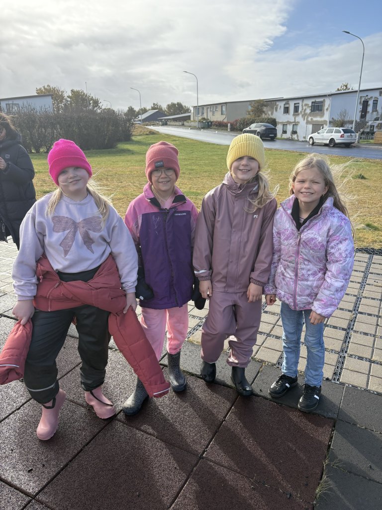 Heilsuvika 4. bekkur