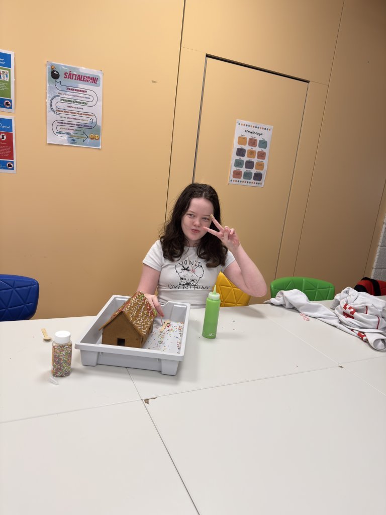 Jólastöðvar unglinga