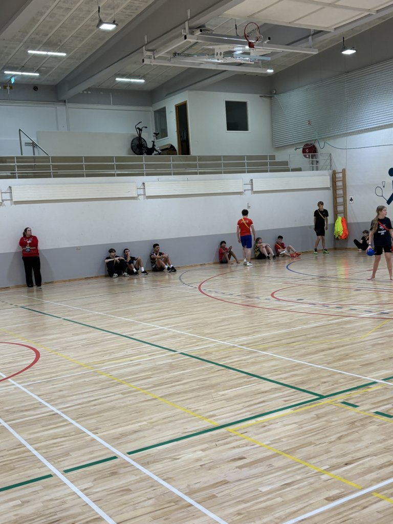 Jólastöðvar unglinga