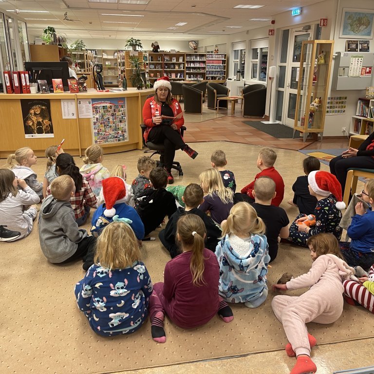 mynd-20241213-083242b2c63ab8