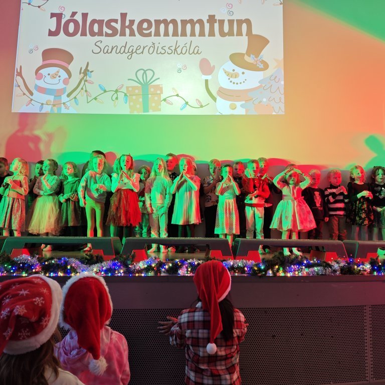 img_20241219_120455-1