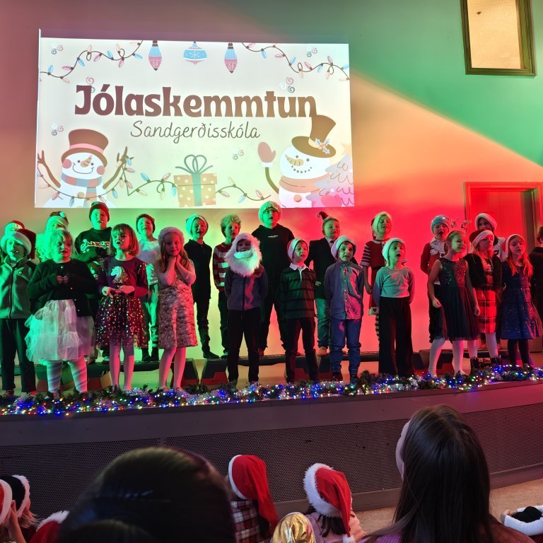 img_20241219_121505-1