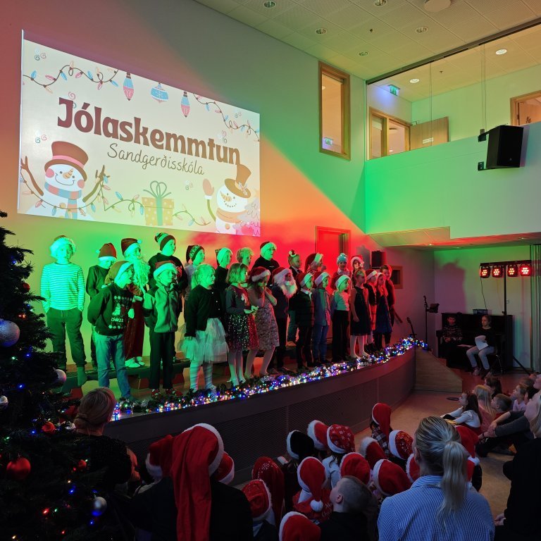 img_20241219_121531-1