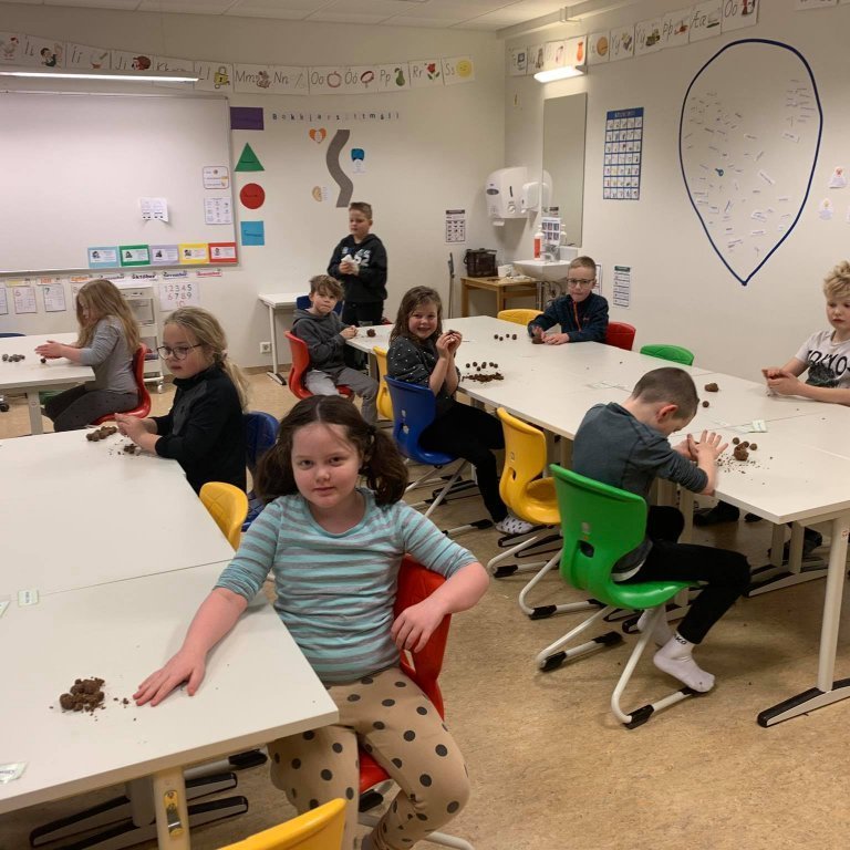 131893413_386121182667563_4772663708741134667_n