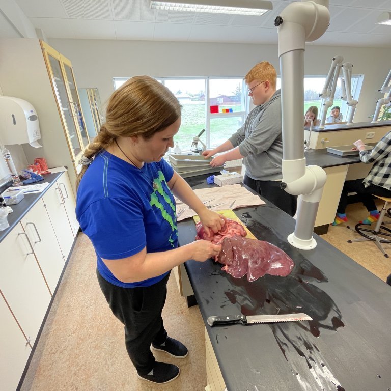 image-20230510-124427-f169adc8