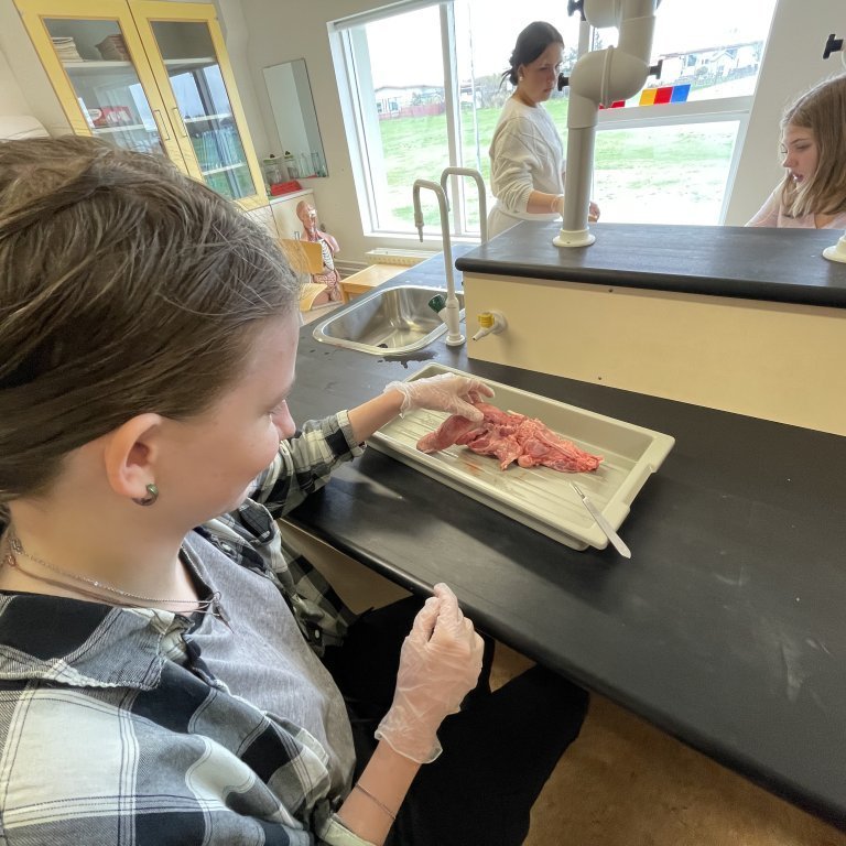 image-20230510-124447-31124714