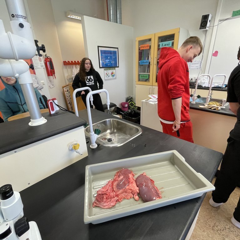 image-20230510-124525-c1073608