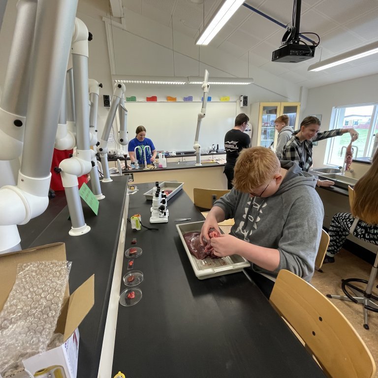 image-20230510-124547-54771bc9