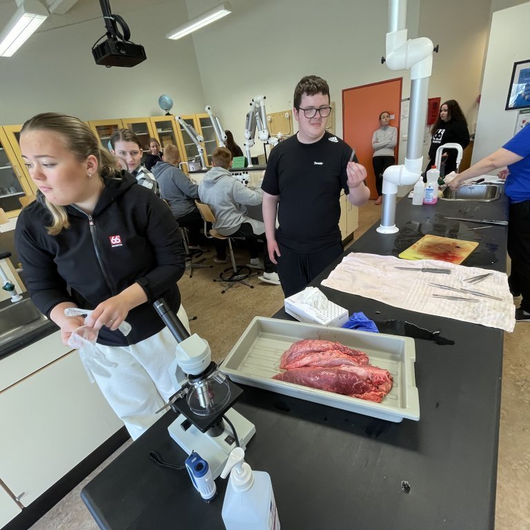 image-20230510-124614-6d218946