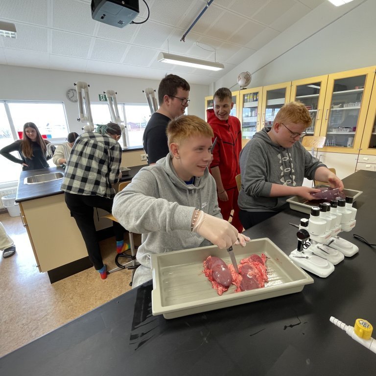 image-20230510-124634-902f93d7