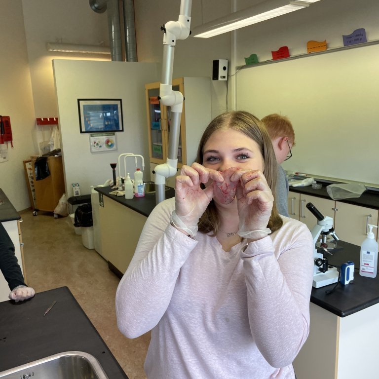 image-20230510-125830-c0d2bdd5