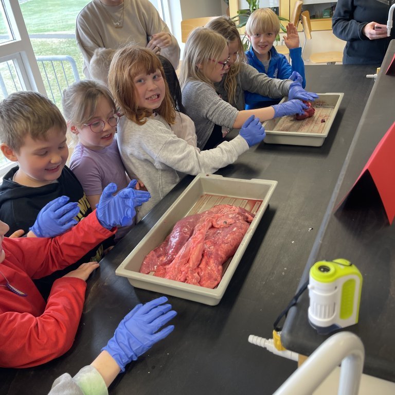 image-20230511-105319-bacb934a