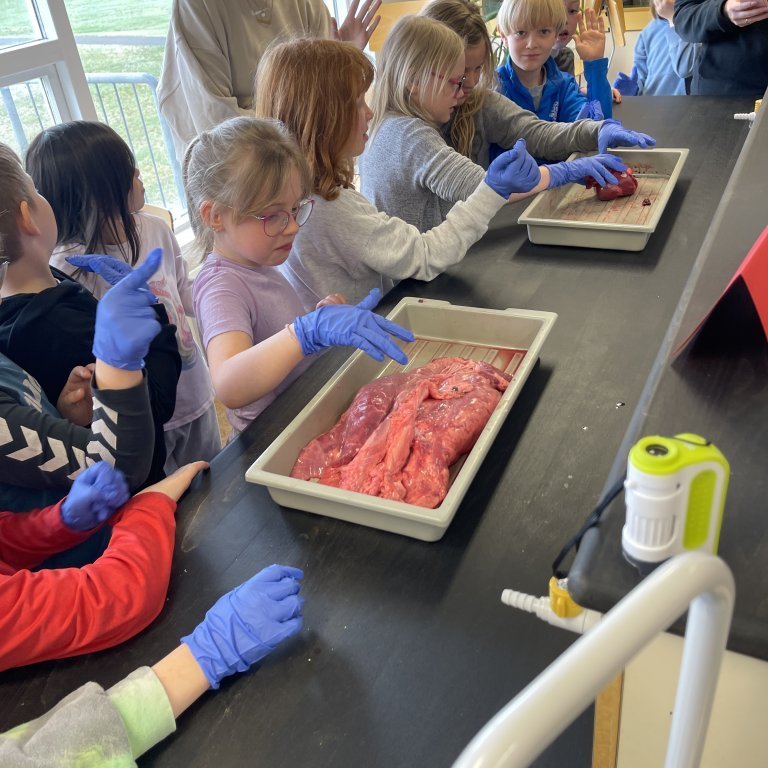 image-20230511-105322-262d9fd9