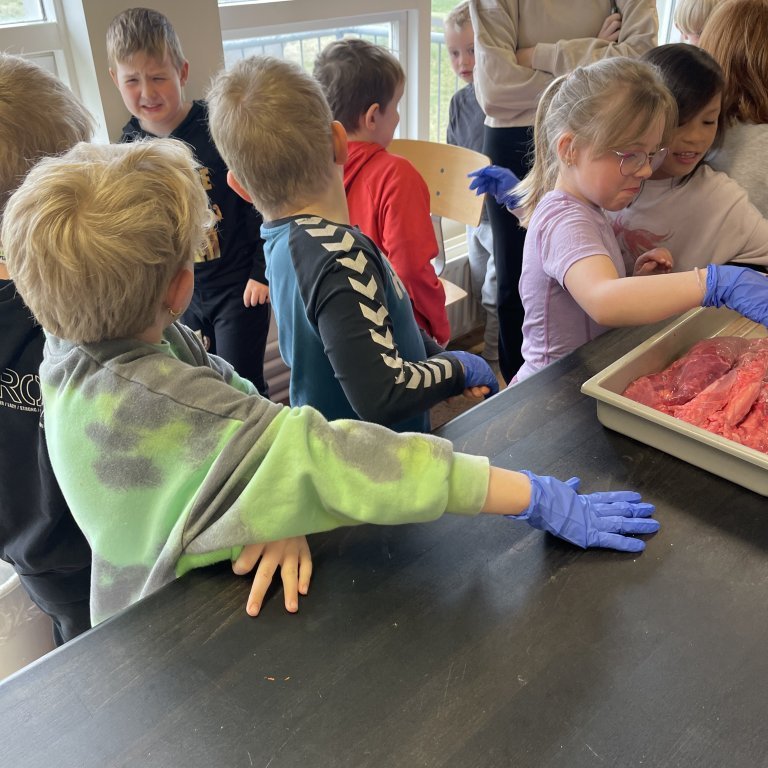 image-20230511-105325-216458a8