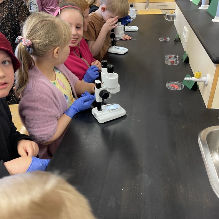 image-20230511-105342-2284254f