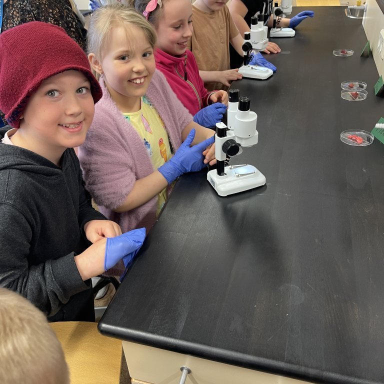 image-20230511-105344-413d5853