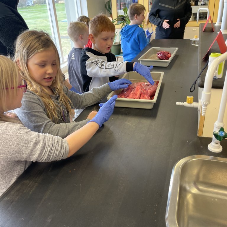 image-20230511-105423-30bd6b12