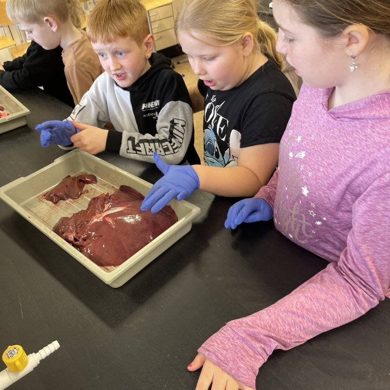 image-20230511-105525-df236690