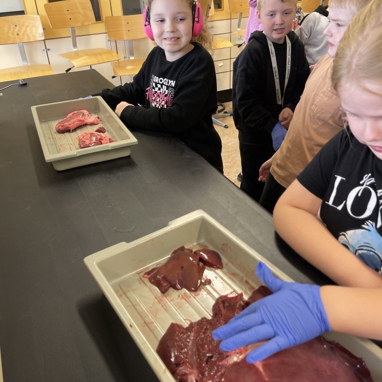 image-20230511-105542-29bea109