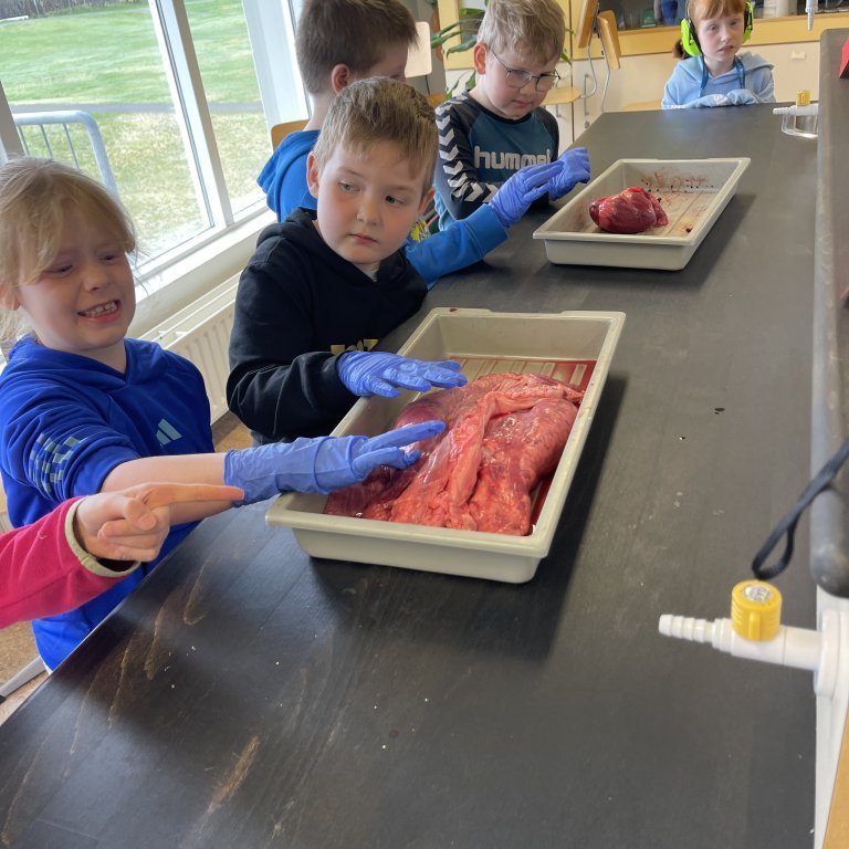 image-20230511-105552-f7d7d4f1