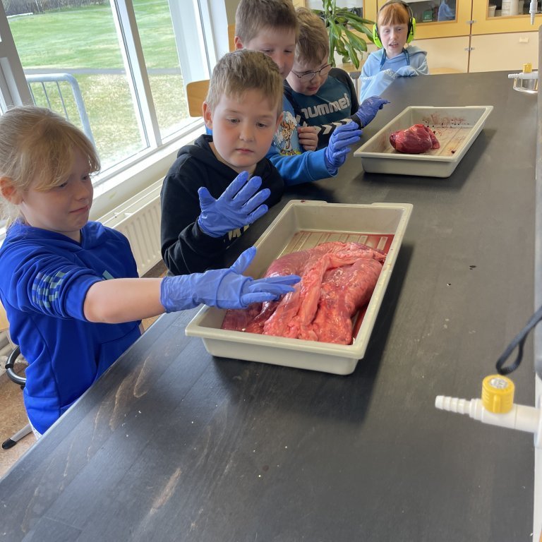 image-20230511-105554-b8a741e4