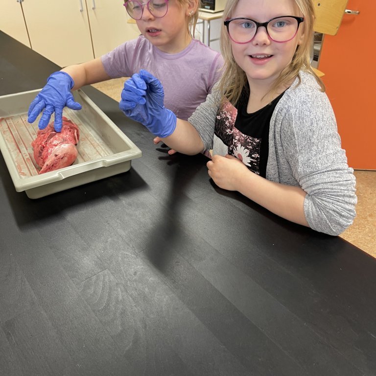 image-20230511-105713-1f69ea03