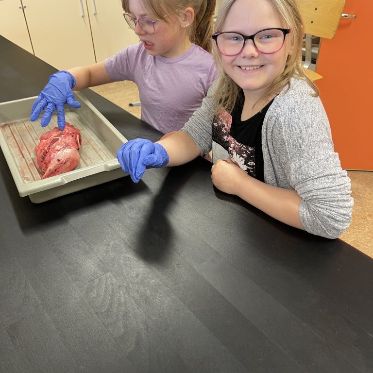 image-20230511-105714-ed92431e