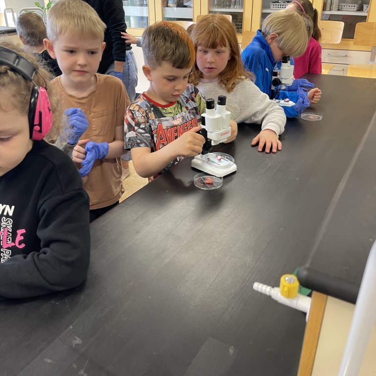 image-20230511-105717-0afdaa2c