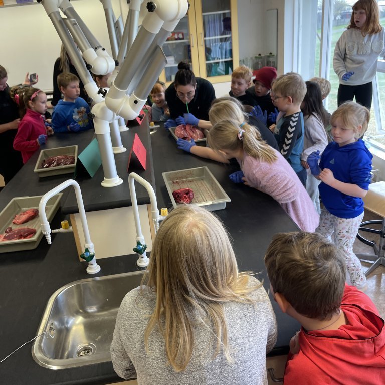 image-20230511-110001-eeecbff0