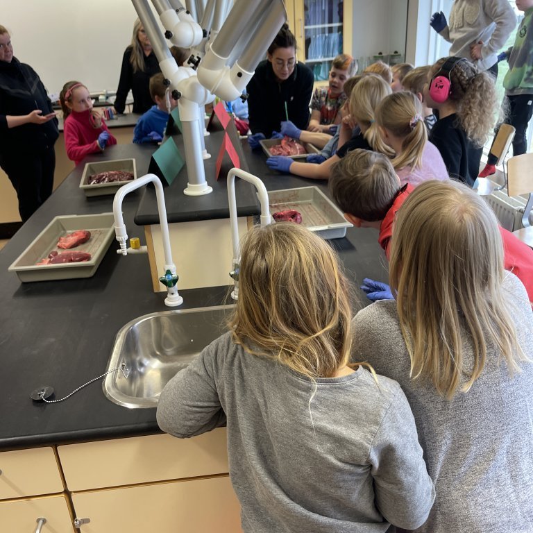 image-20230511-110026-5495d458